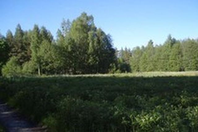 pakkumise täpsemad andmed