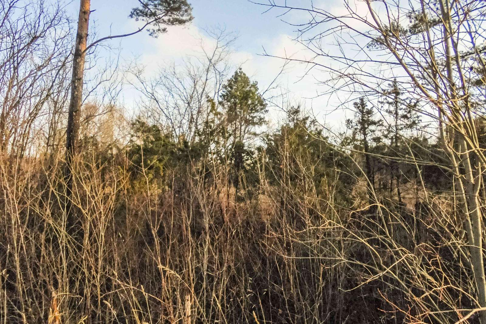 pakkumise täpsemad andmed