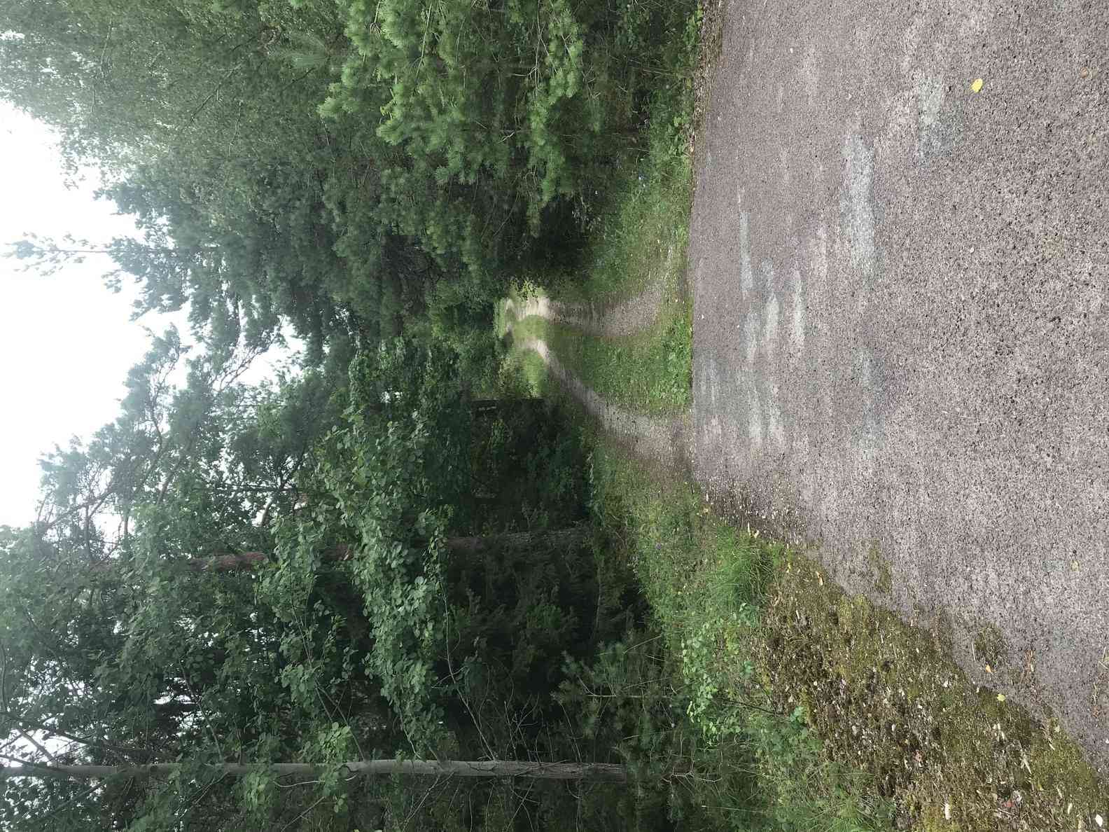 pakkumise täpsemad andmed