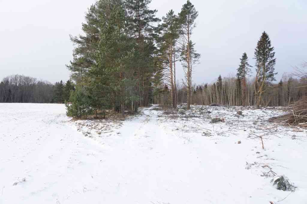 pakkumise täpsemad andmed