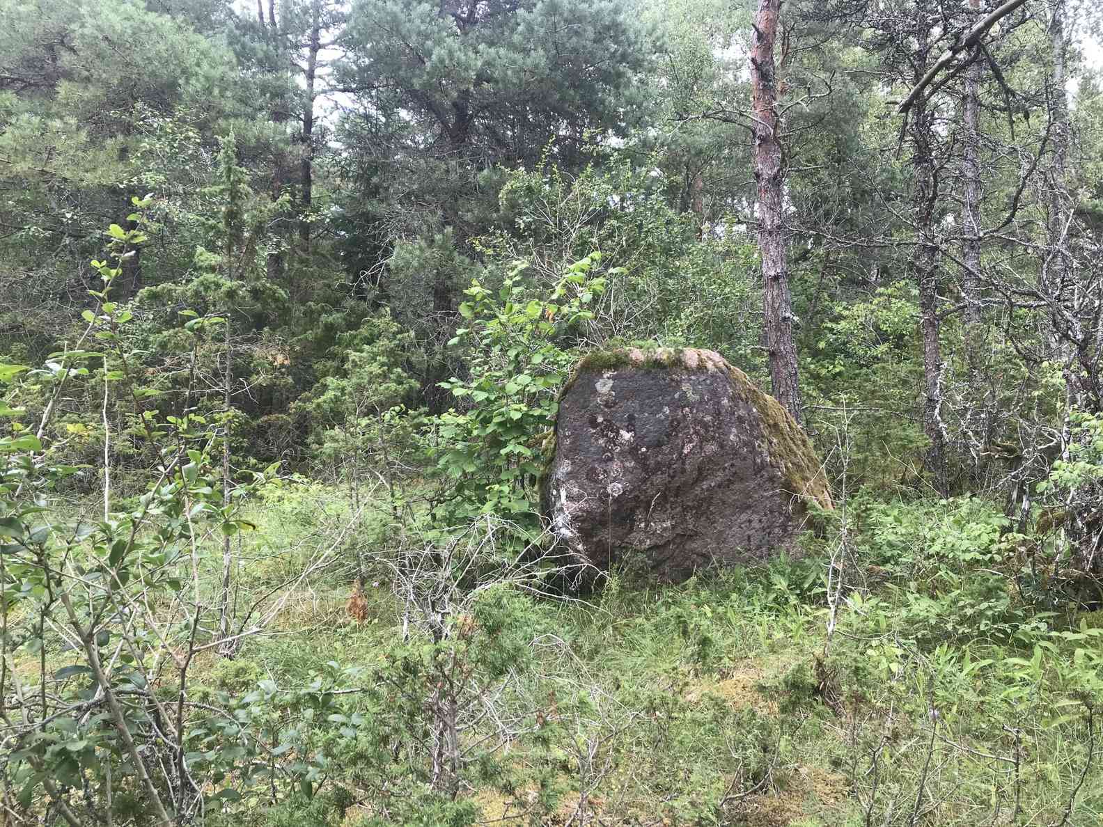 pakkumise täpsemad andmed