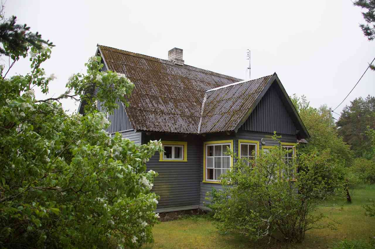 pakkumise täpsemad andmed
