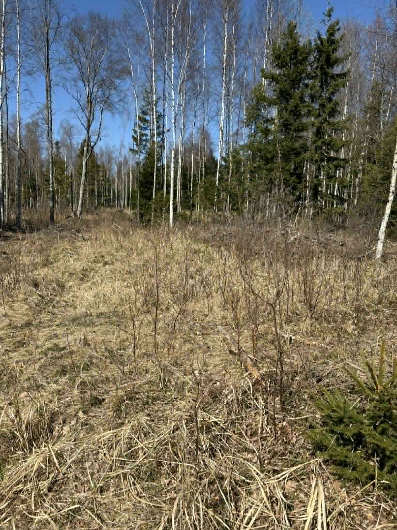 pakkumise täpsemad andmed