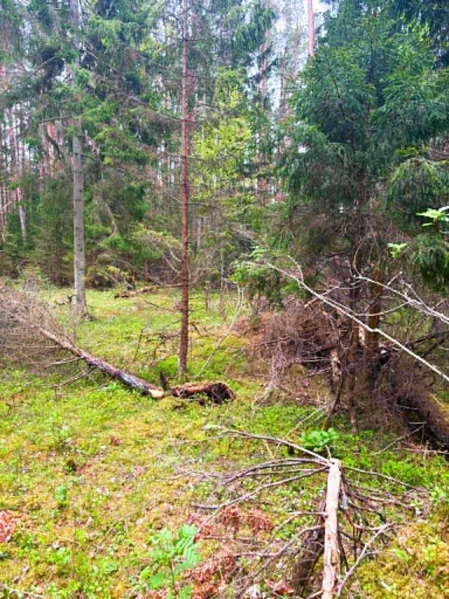 pakkumise täpsemad andmed
